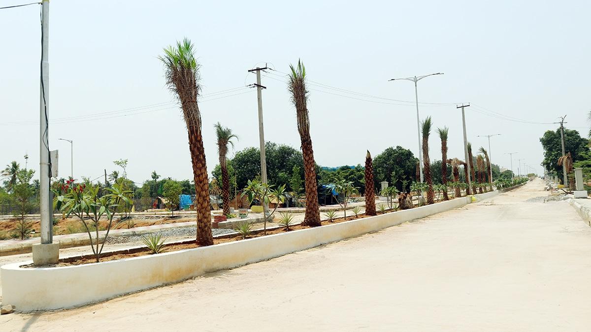 BBG The Highway Orchards plantation area near Burgula Shadnagar investment plots for sale in South Hyderabad